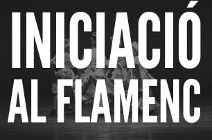 Iniciació al Flamenc